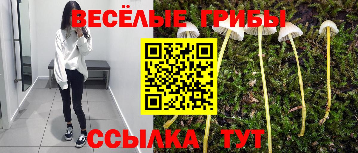 Мичуринск  закладка  Псилоцибиновые грибы Psilocybine cubensis  Вход с VPN  Псилоцибиновые грибы ЛСД 